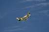 img_6456a1_small.jpg