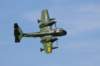 img_6494a1_small.jpg