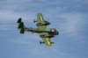 img_6502a1_small.jpg