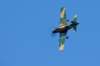 img_6572a1_small.jpg