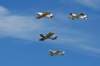 img_6582a1_small.jpg