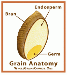 Description: Wholegrain